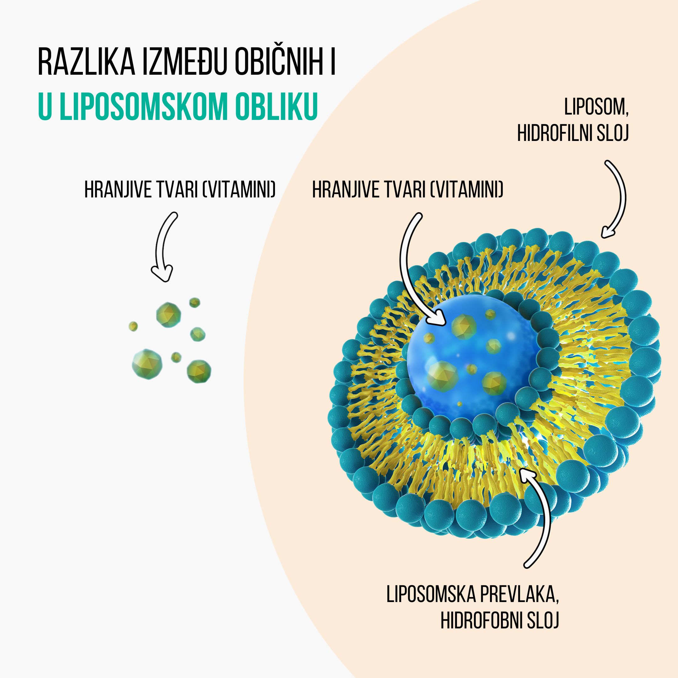 (Chorvatština) (7)